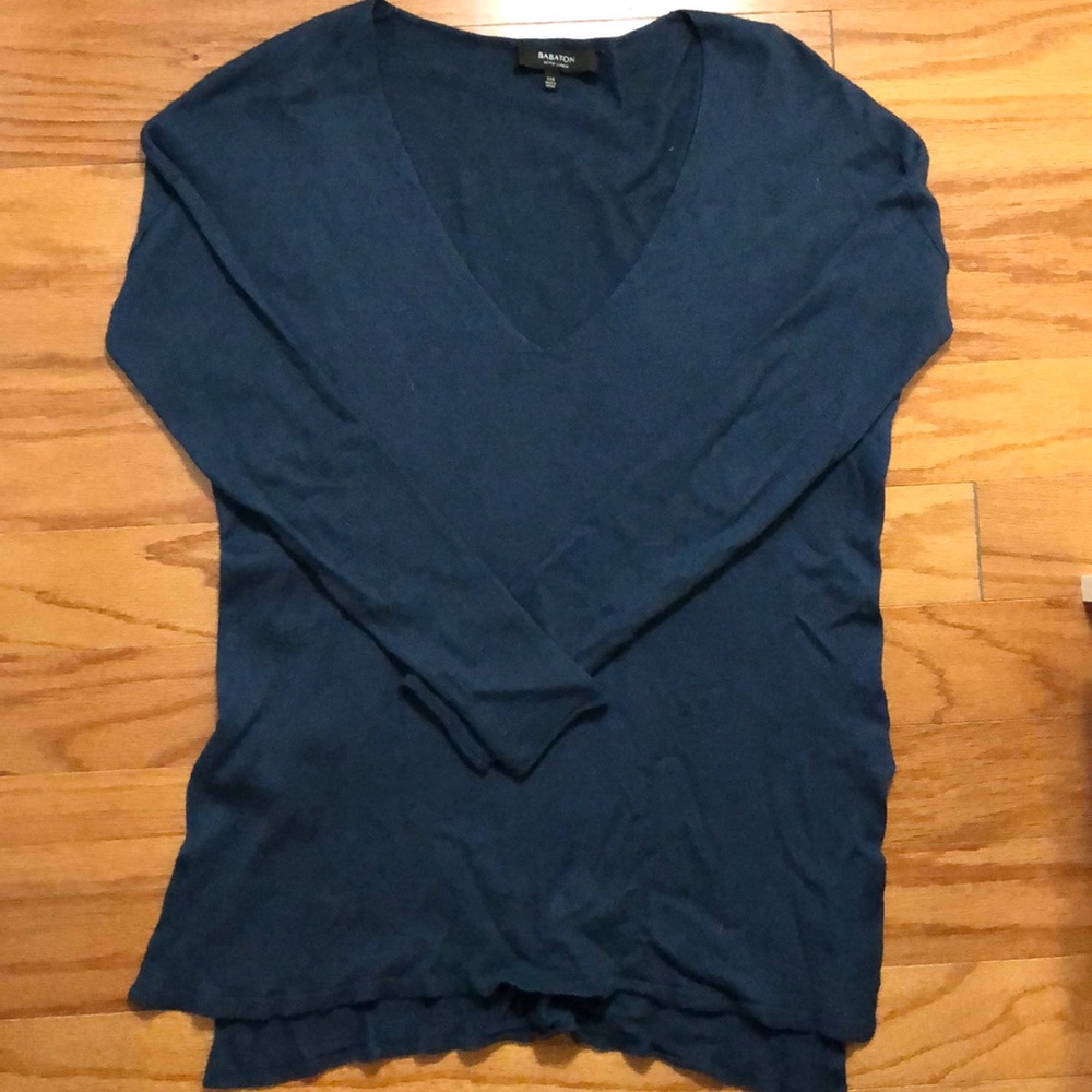 Aritiza Babaton Sweater